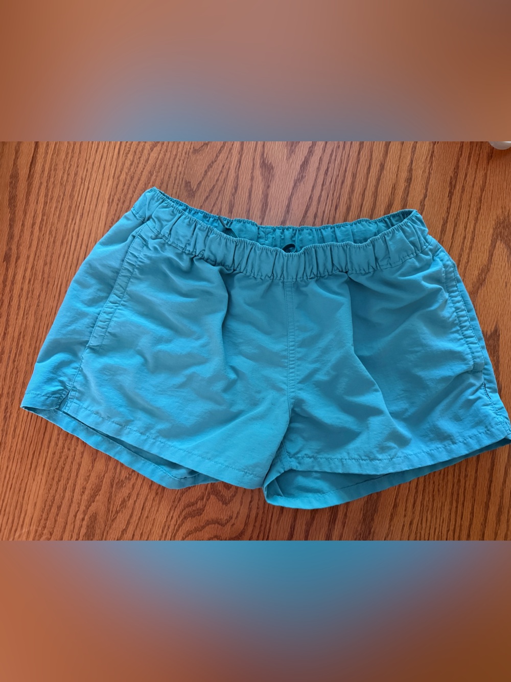 Patagonia Turquoise Athletic Shorts - Women's Active Run Shorts